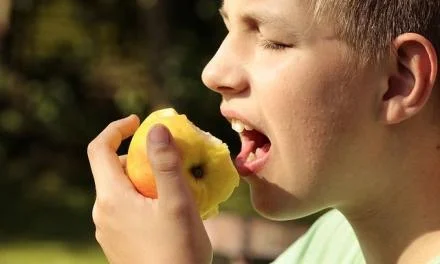 The Effect of a Healthy Lifestyle on Education